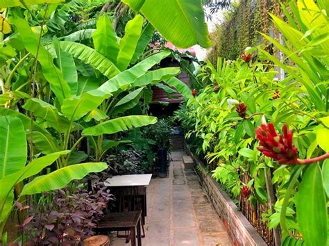 siem reap property services.